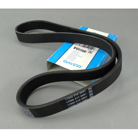 PASEK KLINOWY TRANSIT 06-...