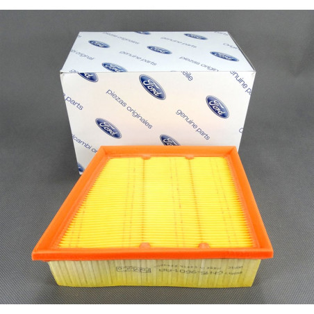 FILTR POWIETRZA (PB) (ON) /...